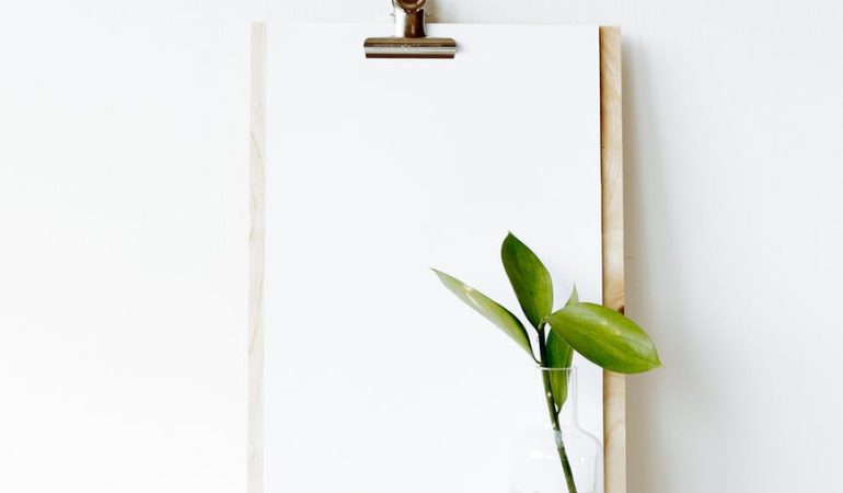 workplace with clipboard and green plant leaf